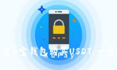 如何通过e宝钱包购买USD